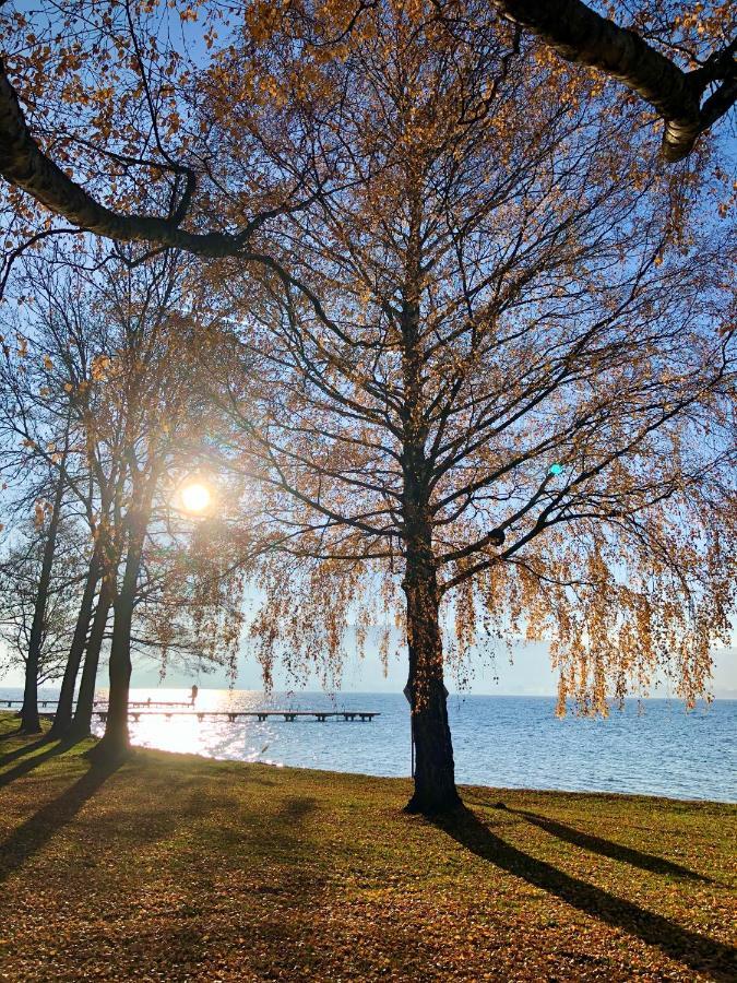 Fewo Atterseeperle - 80M2 Mit See- Und Gebirgsblick Steinbach am Attersee Exterior photo