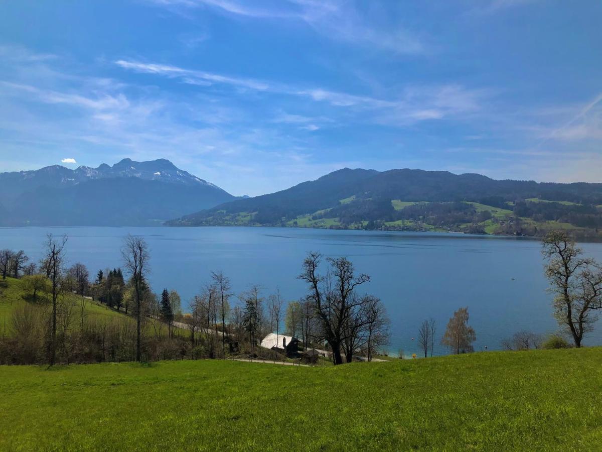 Fewo Atterseeperle - 80M2 Mit See- Und Gebirgsblick Steinbach am Attersee Exterior photo