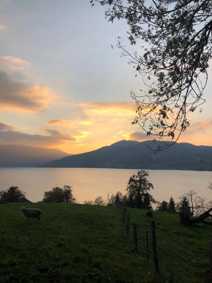 Fewo Atterseeperle - 80M2 Mit See- Und Gebirgsblick Steinbach am Attersee Exterior photo