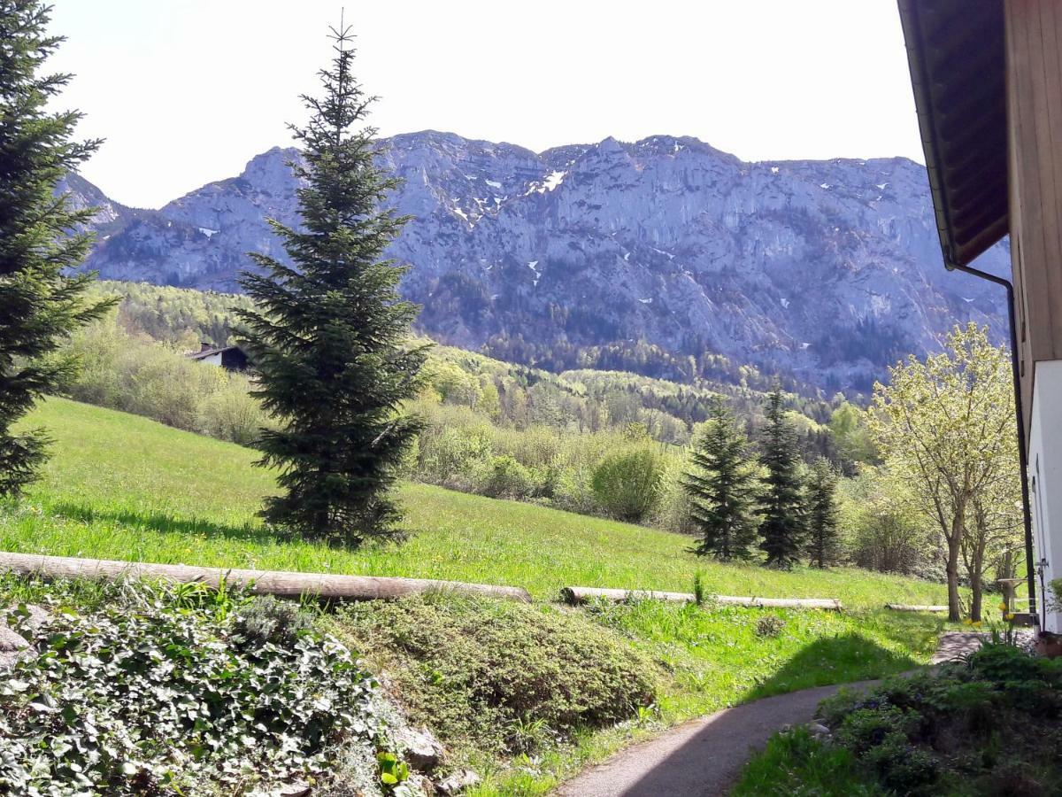 Fewo Atterseeperle - 80M2 Mit See- Und Gebirgsblick Steinbach am Attersee Exterior photo